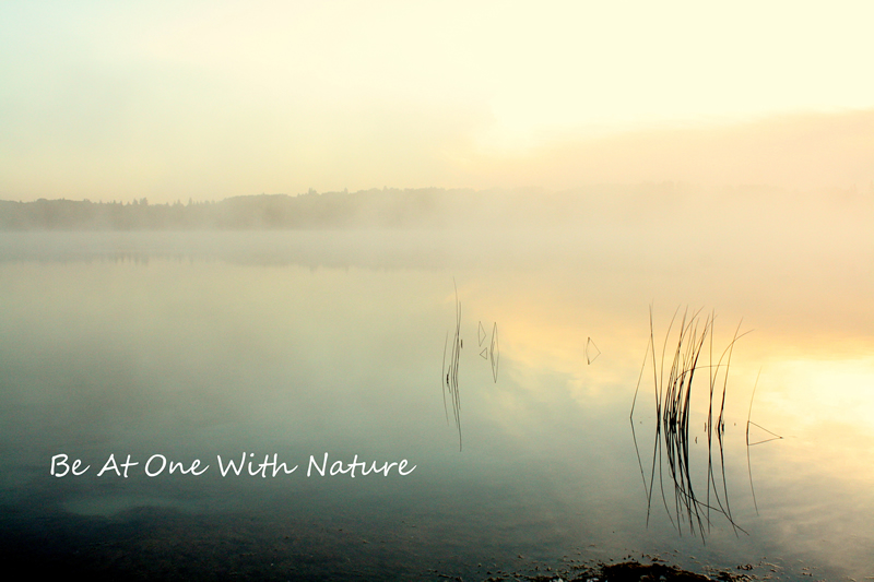 One with Nature by Rick Waterman